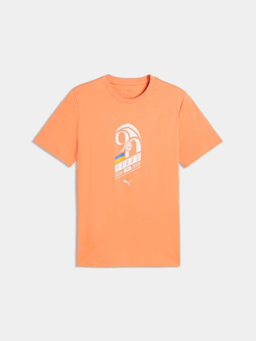 Футболки і поло PUMA Fcsd Ftblculture Tee модель 784899 Фото