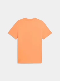 Футболки і поло PUMA Fcsd Ftblculture Tee модель 784899 Фото