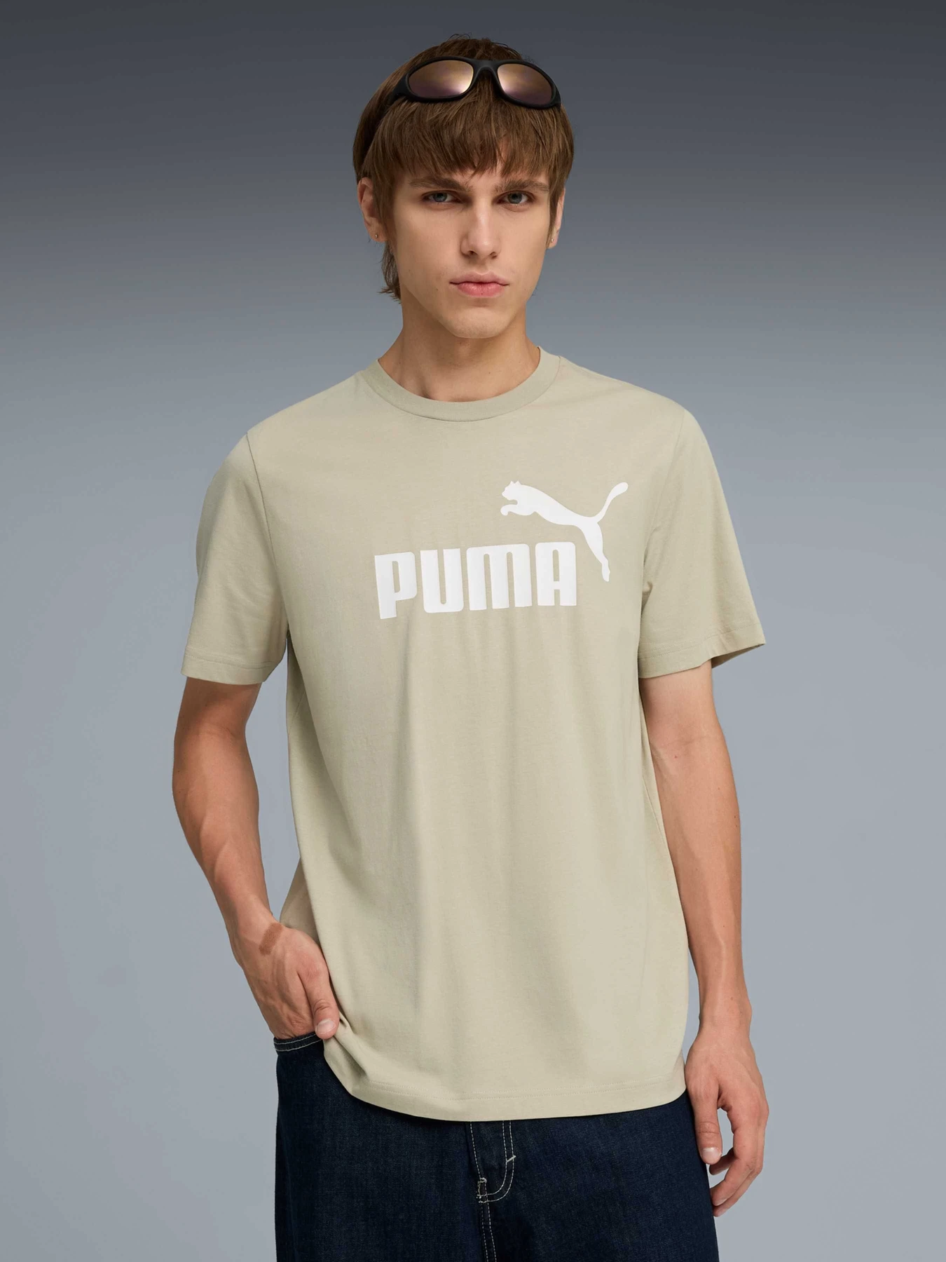 Футболки и поло PUMA Ess No. 1 Logo Tee модель 682533 Футболки и поло PUMA Ess No. 1 Logo Tee модель 682533 Фото