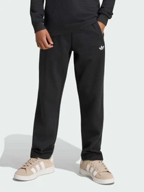 Штани Adidas модель KR9006 Фото