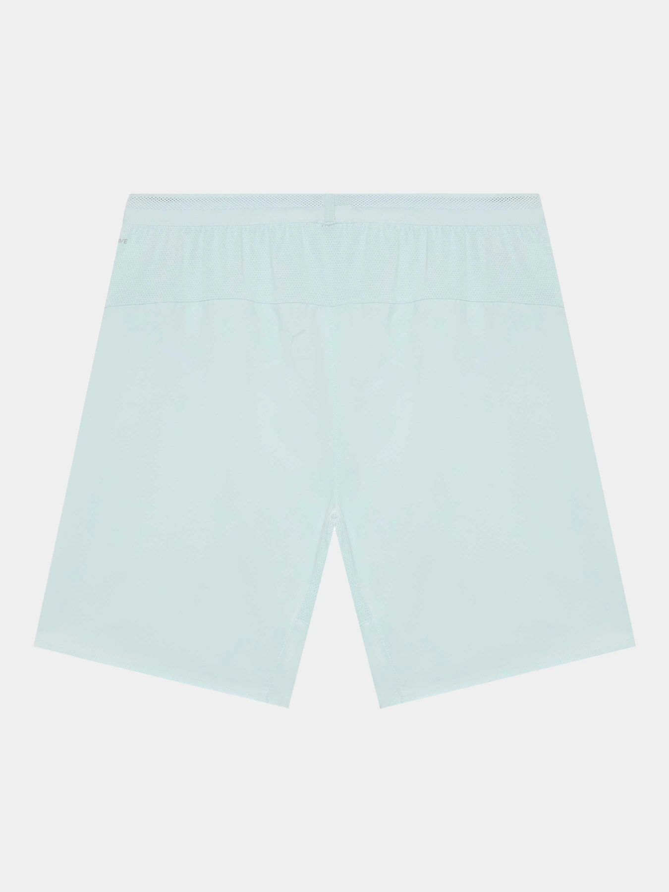 Шорты PUMA Fcsd Shorts Promo модель 779718 Шорты PUMA Fcsd Shorts Promo модель 779718 Фото