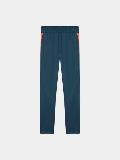 Чоловічі Спортивні штани PUMA Fcsd Training Pants Pro фото 2