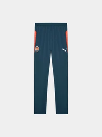 Штани PUMA Fcsd Training Pants Pro модель 782827 Фото