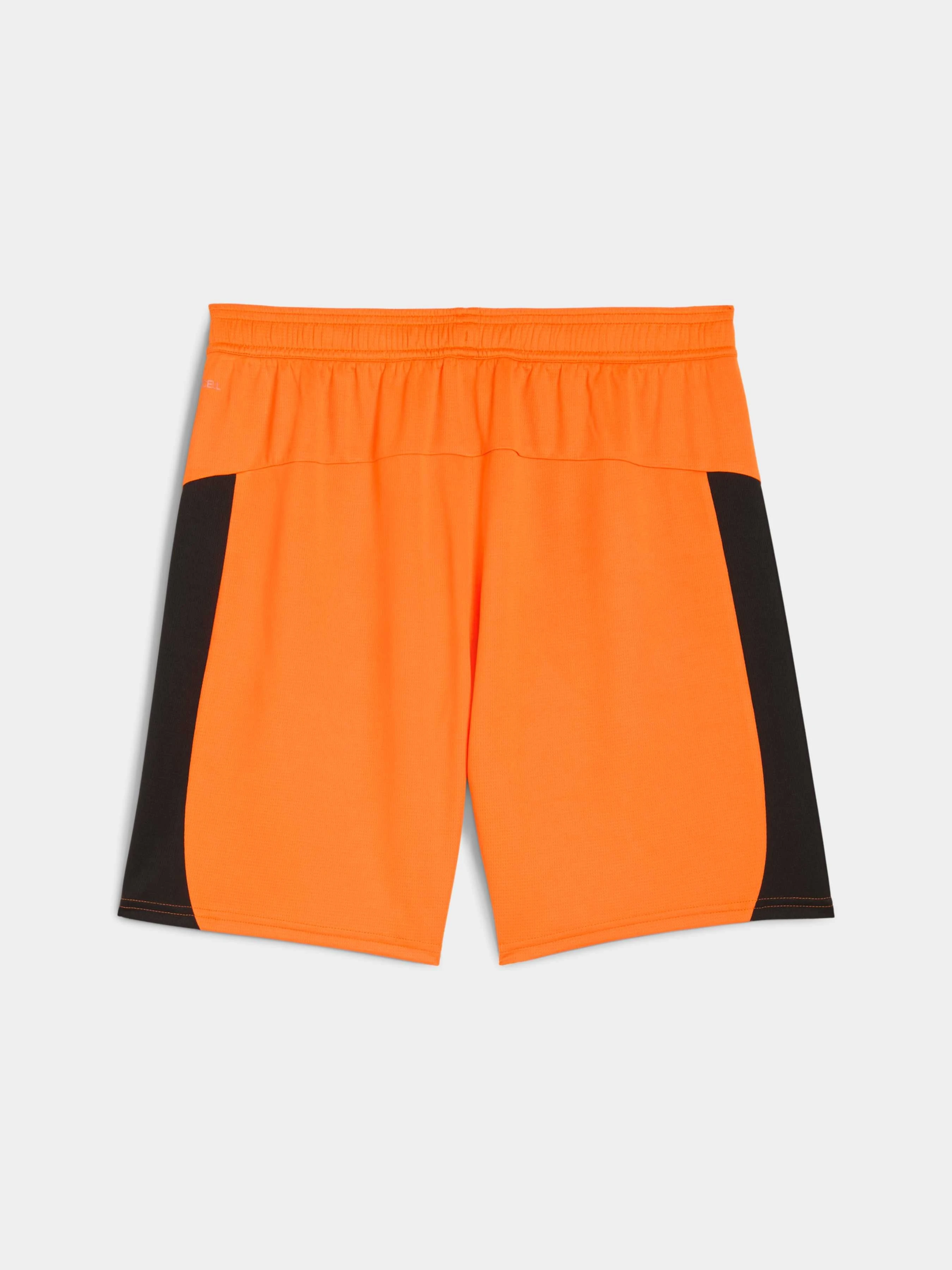 Чоловічі Спортивні шорти PUMA Fcsd Shorts Replica фото 2