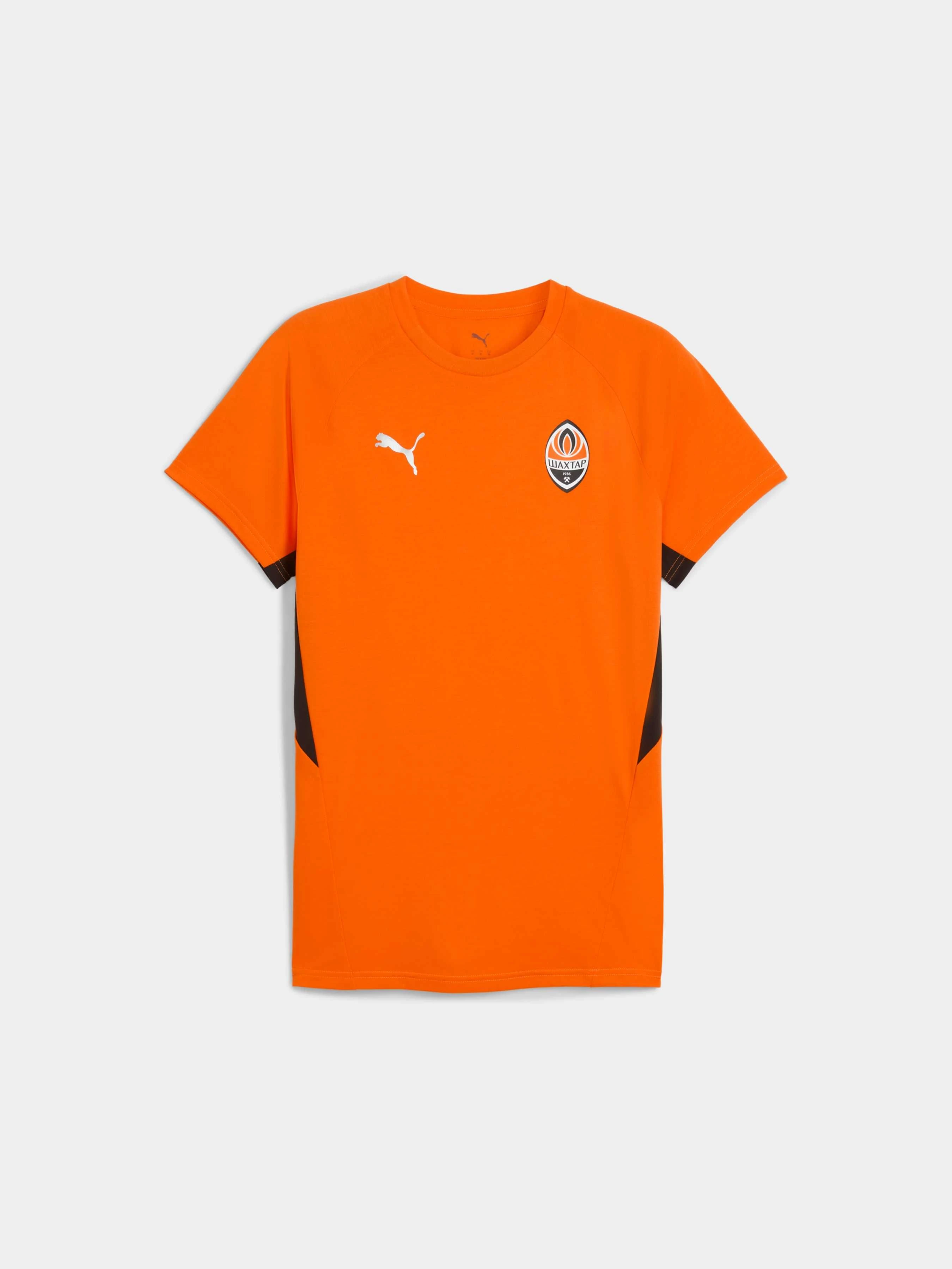 Чоловіча Спортивна футболка PUMA Fcsd Evostripe Tee