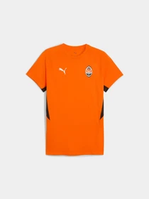 Футболки и поло PUMA Fcsd Evostripe Tee модель 782815 Фото