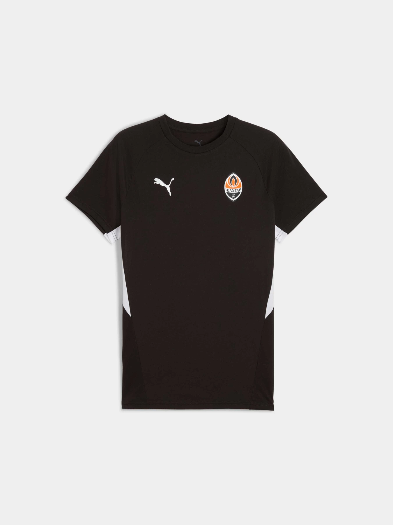 Футболки і поло PUMA Fcsd Evostripe Tee модель 782815 Футболки і поло PUMA Fcsd Evostripe Tee модель 782815 Фото