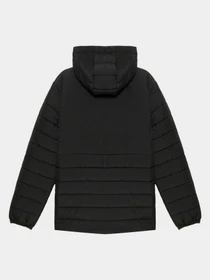 Куртки и дубленки PUMA Fcsd Hooded Padded Jacket модель 782828 Фото