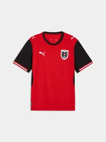 Футболки і поло PUMA Öfb Home Jersey Replica модель 783200 Фото
