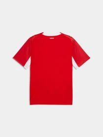Футболки и поло PUMA Sfv Home Jersey Replica модель 783218 Фото