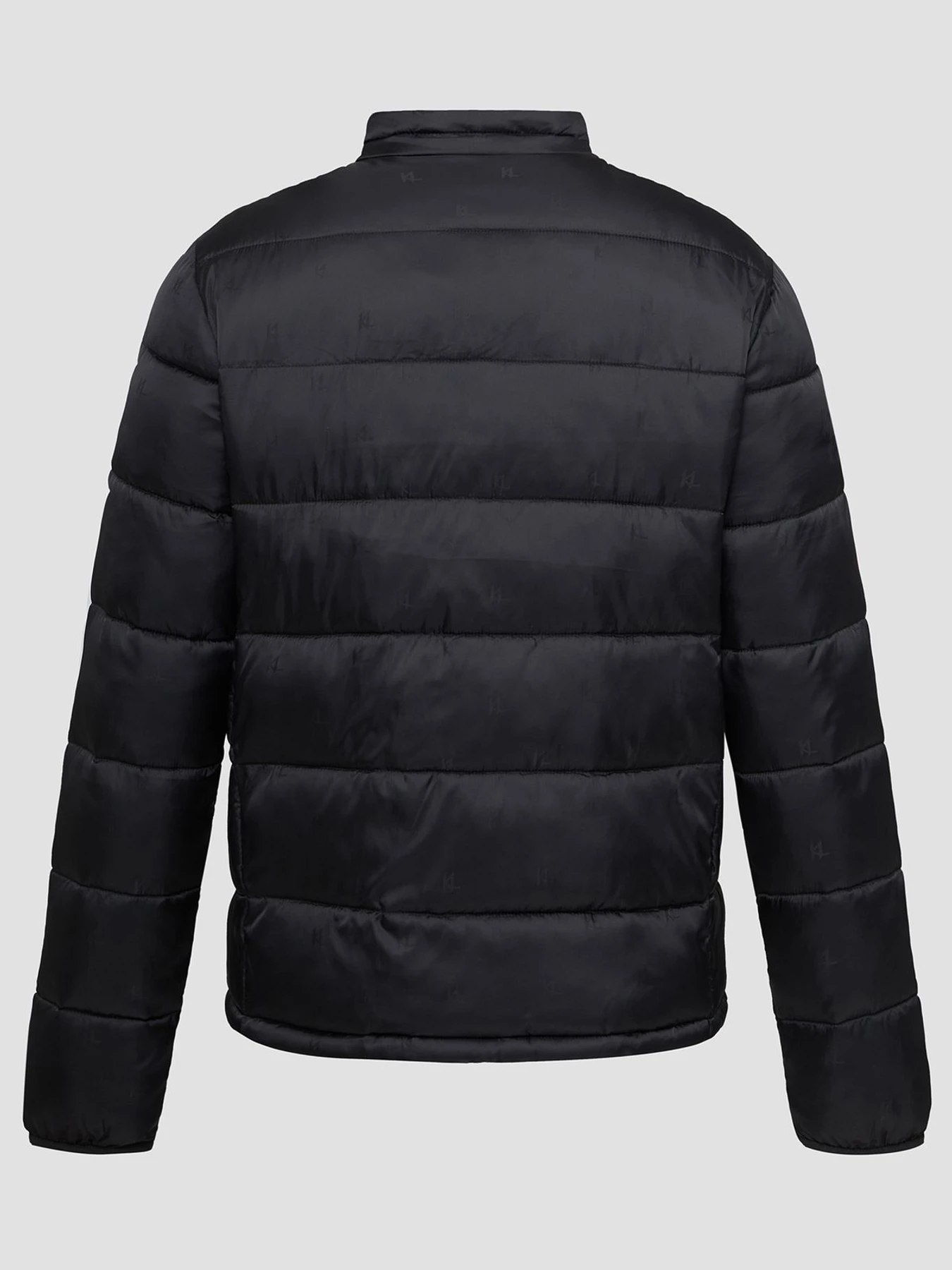 Куртки и дубленки Karl Lagerfeld модель 563592.505021;990 Фото
