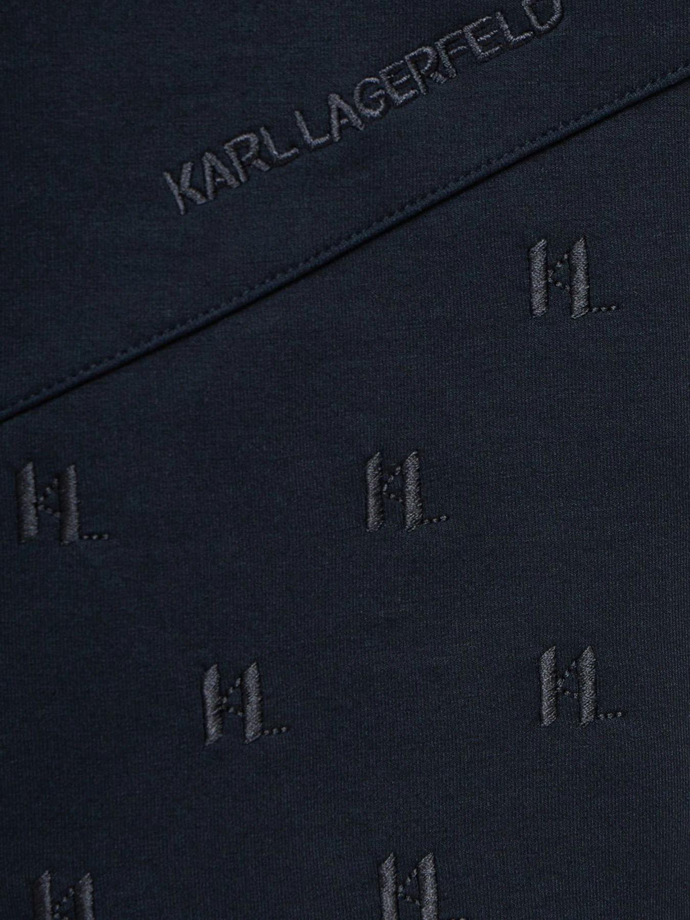 Худи и свитшоты Karl Lagerfeld модель 563902.705014;690 Фото