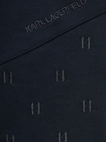 Худи и свитшоты Karl Lagerfeld модель 563902.705014;690 Фото