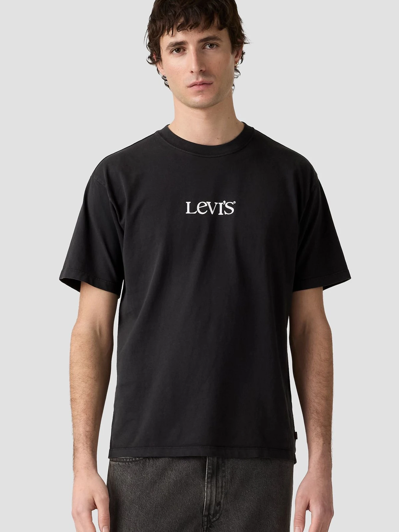 Футболки и поло Levi's модель 87373;0445 Футболки и поло Levi's модель 87373;0445 Фото