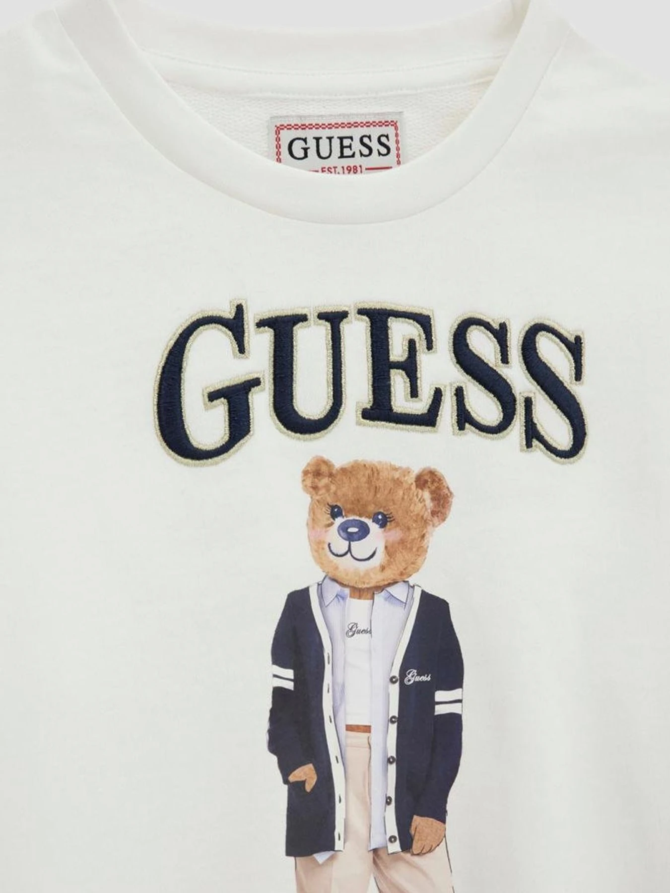 Худі та світшоти GUESS Kids модель J6YQ01.K4419;G012 Фото