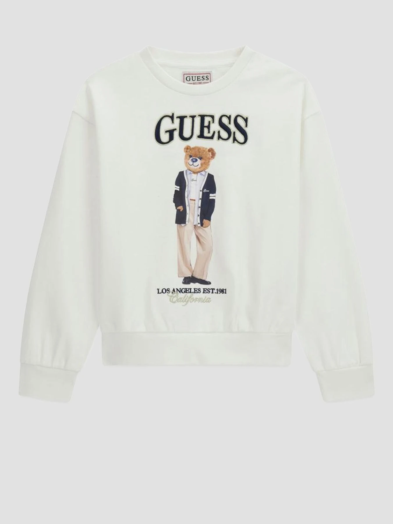 Худі та світшоти GUESS Kids модель J6YQ01.K4419;G012 Фото