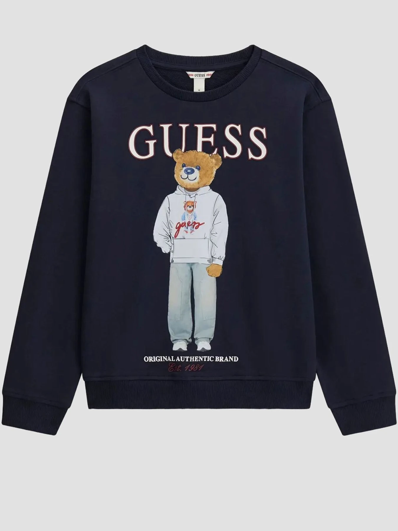 Худі та світшоти GUESS Kids модель L6YQ07.K4049;G7V2 Фото