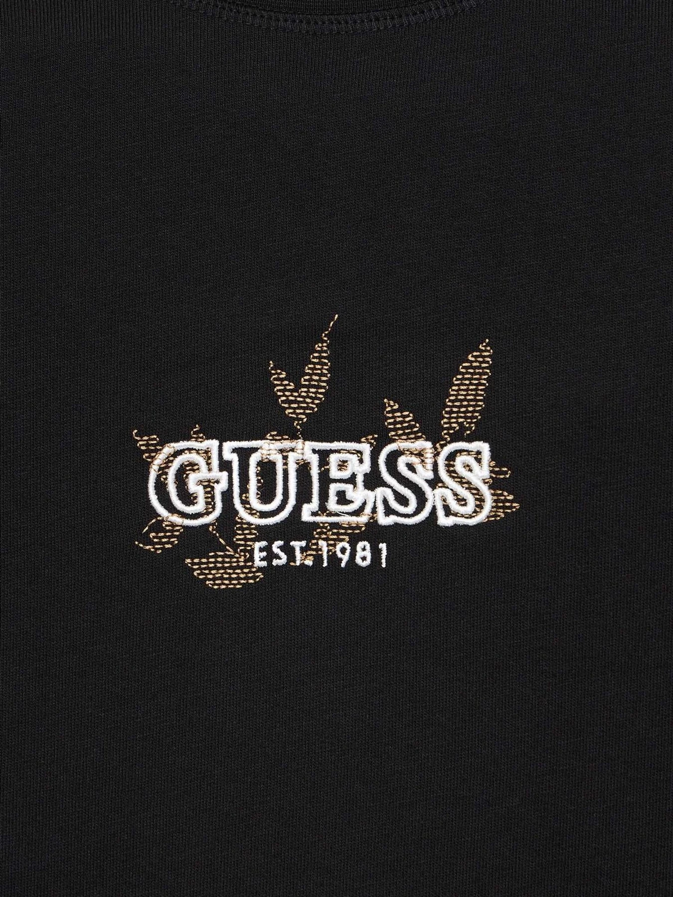 Футболки и поло GUESS модель M6YI46.K4232;JBLK Фото
