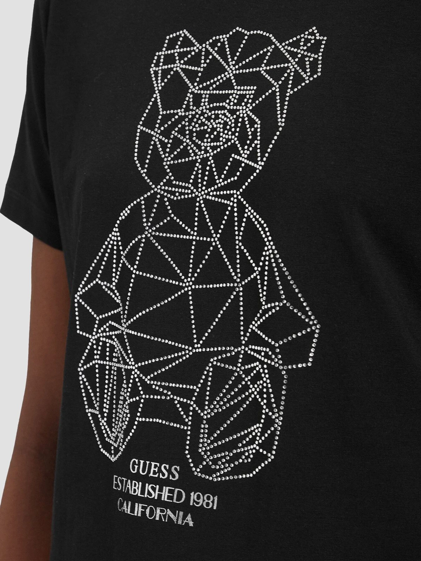 Футболки и поло GUESS модель V6GI12.K3325;JBLK Фото