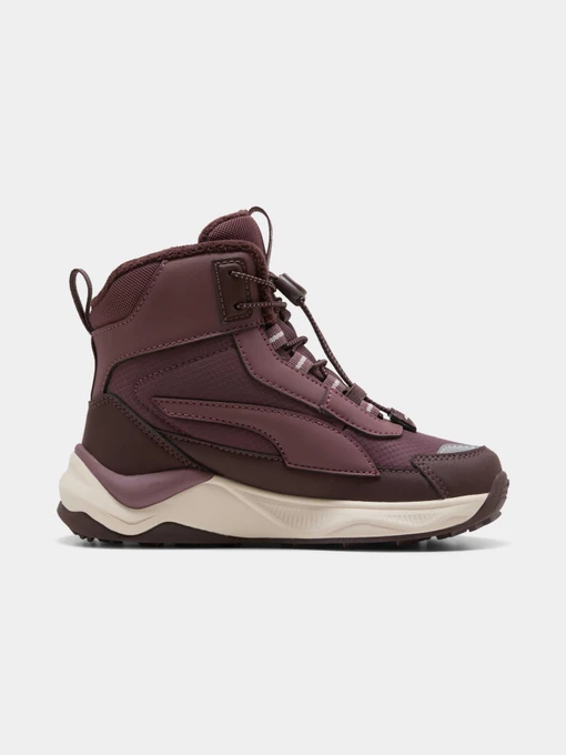 Ботинки и сапоги PUMA Evolve 2.0 Boot Ps модель 313809 Фото