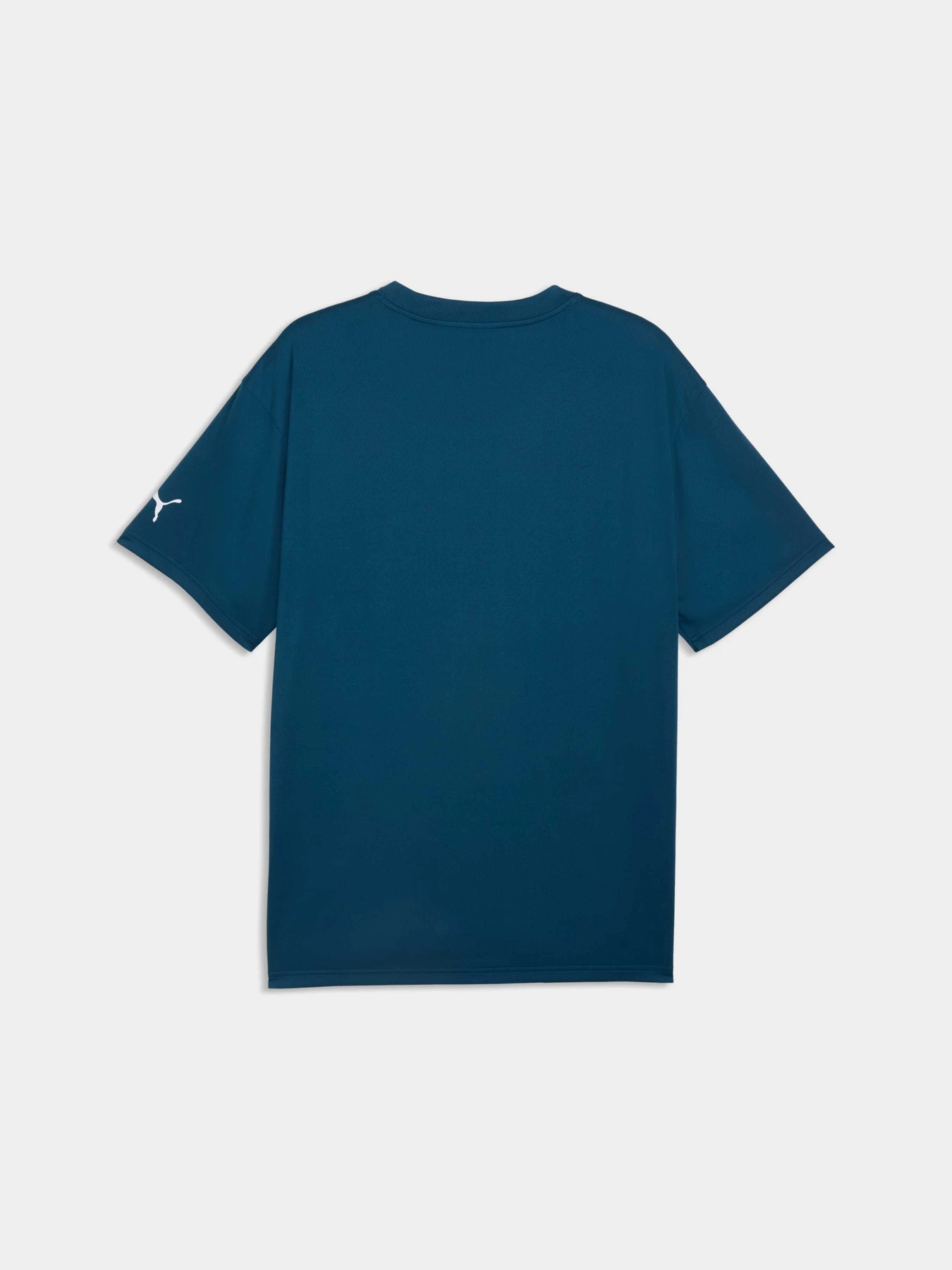 Футболки и поло PUMA Team Roar Training Aop Tee модель 529200 Фото