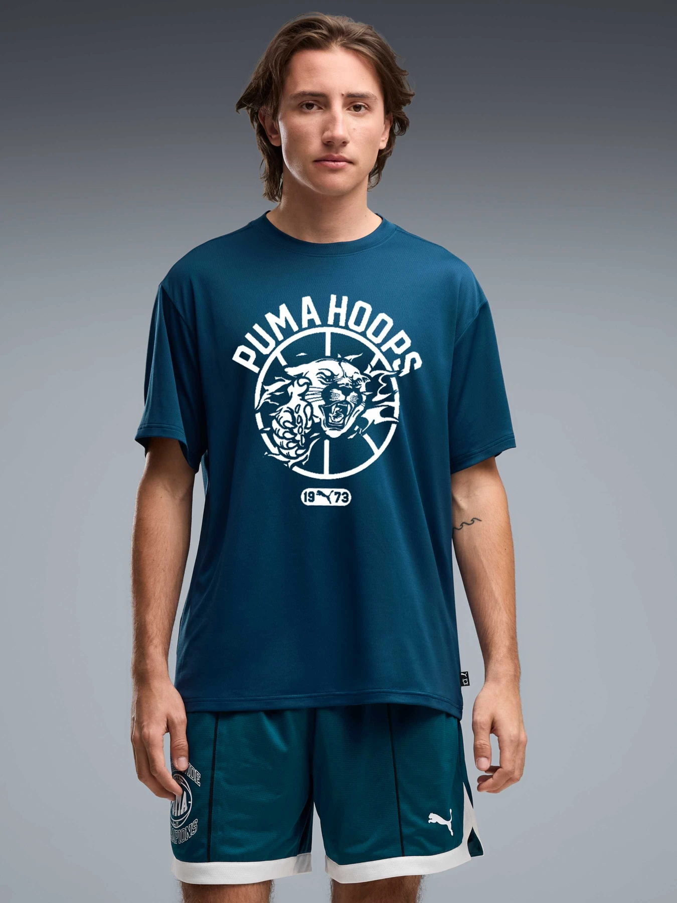 Футболки и поло PUMA Team Roar Training Aop Tee модель 529200 Фото