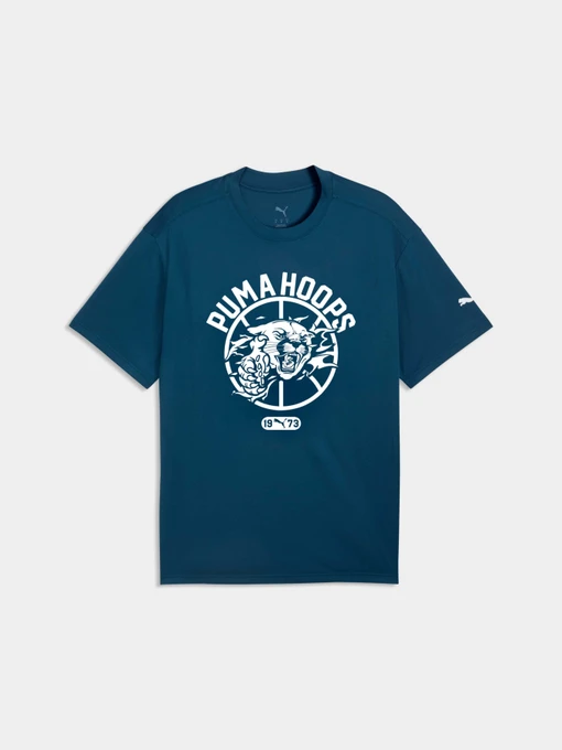 Футболки и поло PUMA Team Roar Training Aop Tee модель 529200 Фото