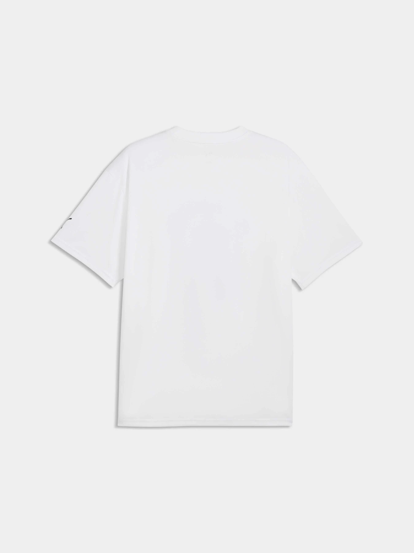 Футболки и поло PUMA Team Roar Training Aop Tee модель 529200 Фото