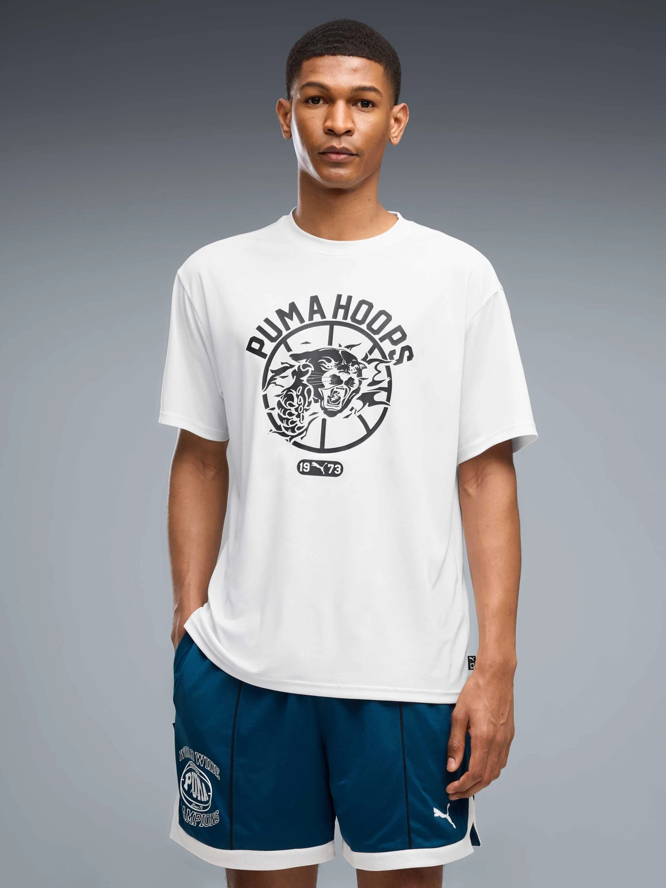 Футболки и поло PUMA Team Roar Training Aop Tee модель 529200 Фото