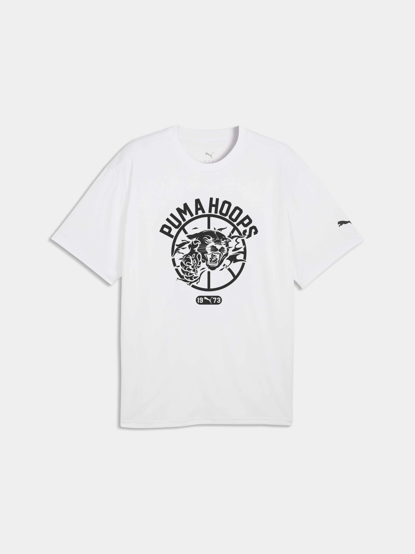Футболки и поло PUMA Team Roar Training Aop Tee модель 529200 Фото