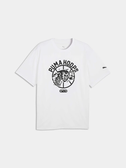 Футболки и поло PUMA Team Roar Training Aop Tee модель 529200 Фото