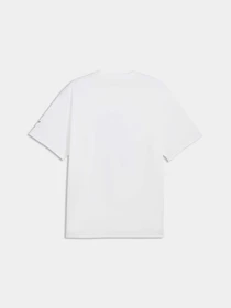 Футболки и поло PUMA Team Roar Training Aop Tee модель 529200 Фото