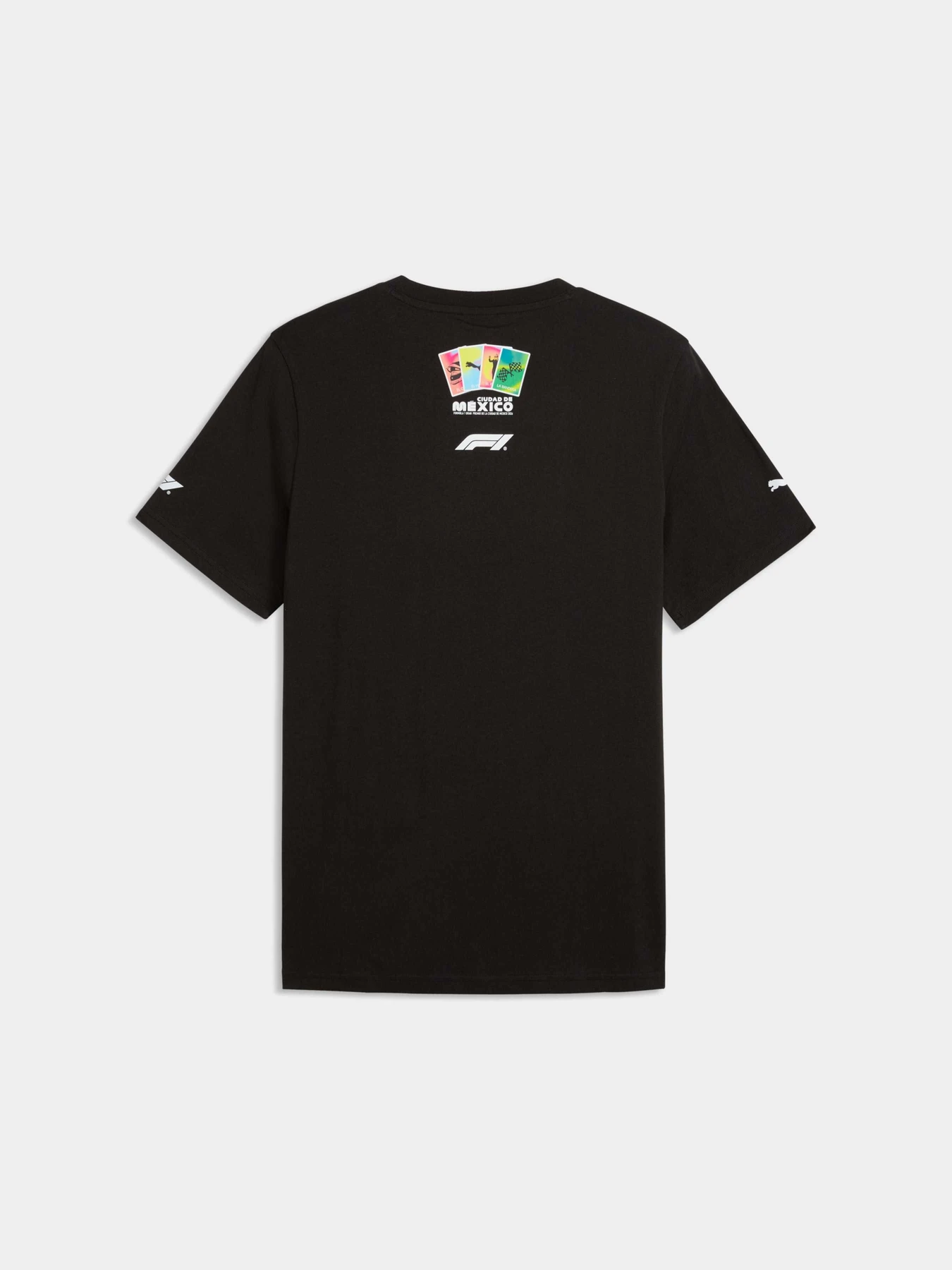 Футболки и поло PUMA F1 Mexico Race Pack Tee модель 637592 Фото