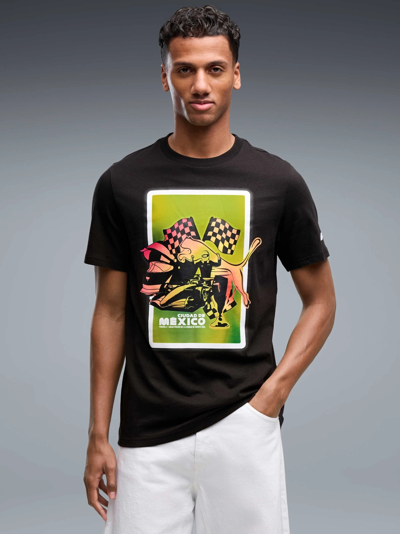 Футболки и поло PUMA F1 Mexico Race Pack Tee модель 637592 Фото