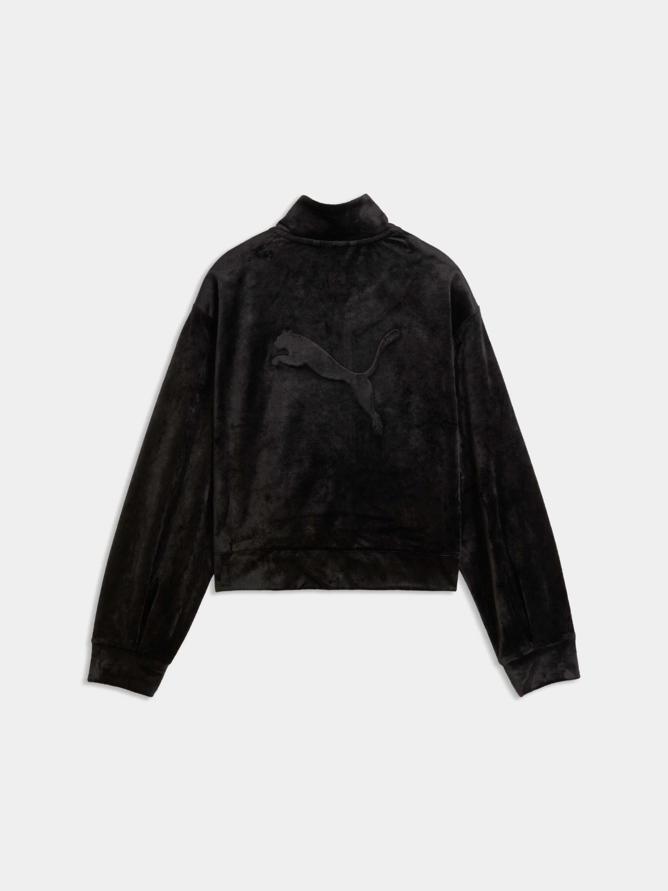 Худі та світшоти PUMA Ess Elevated Velour Short Le модель 694854 Фото