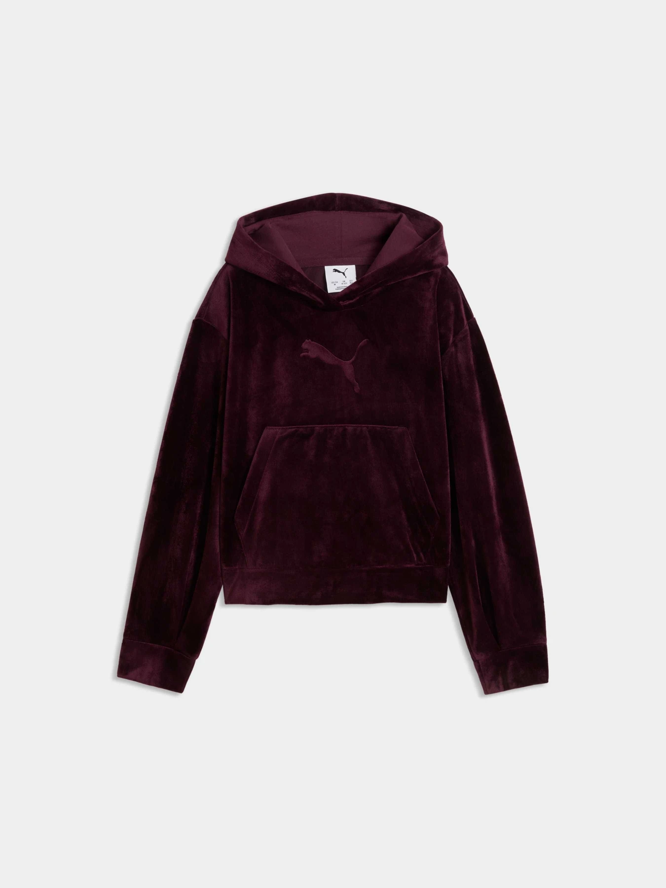 Худі та світшоти PUMA Ess Elevated Velour Relaxed модель 694853 Худі та світшоти PUMA Ess Elevated Velour Relaxed модель 694853 Фото