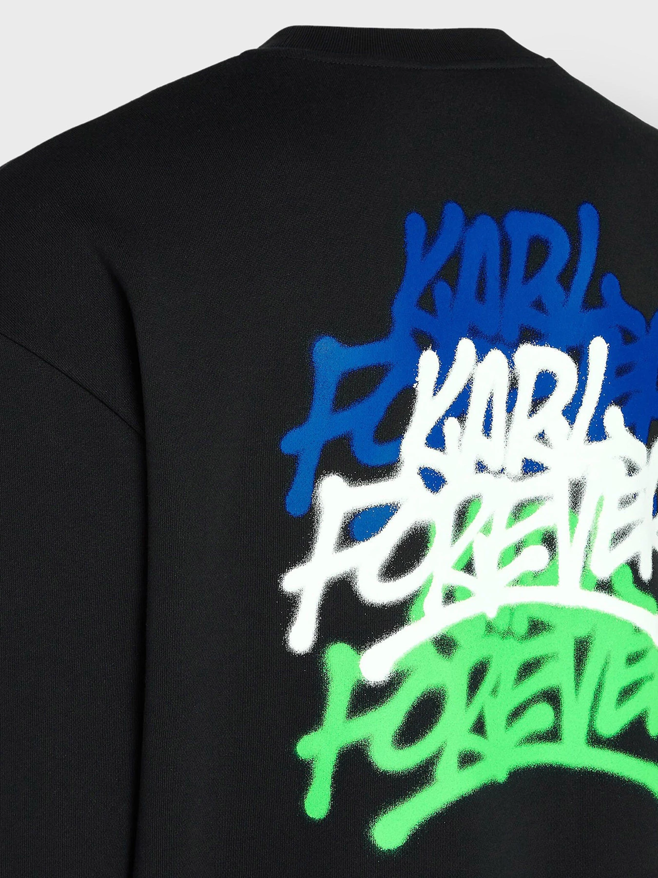 Худи и свитшоты Karl Lagerfeld Jeans модель 241D1806 Фото
