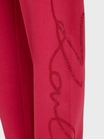 Брюки Karl Lagerfeld модель 245W1053 Фото
