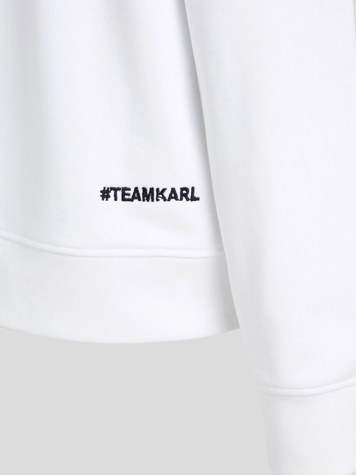 Худи и свитшоты Karl Lagerfeld модель 245W1830 Фото