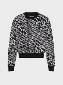 Худи и свитшоты Karl Lagerfeld Jeans модель 246J1803 Фото