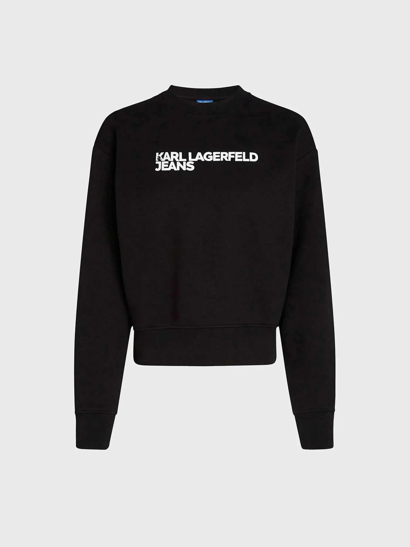 Худи и свитшоты Karl Lagerfeld Jeans модель 246J1809 Фото