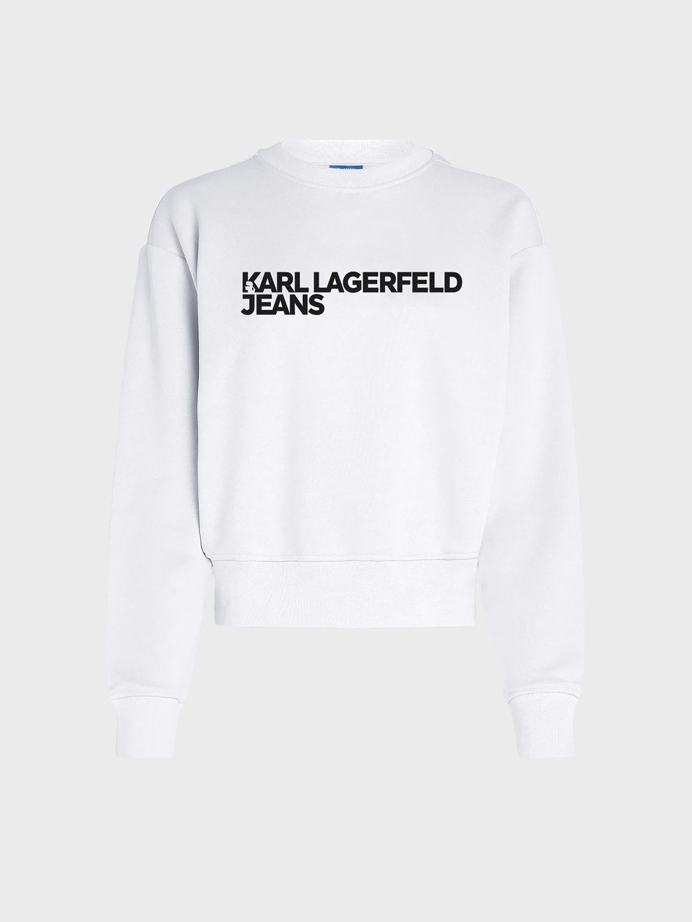 Худи и свитшоты Karl Lagerfeld Jeans модель 246J1809 Фото