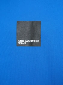 Худи и свитшоты Karl Lagerfeld Jeans модель A1M20002 Фото