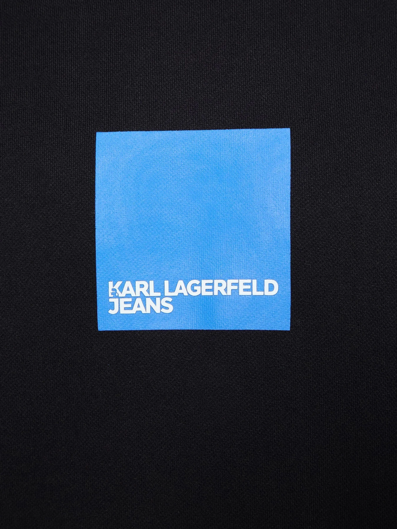 Худи и свитшоты Karl Lagerfeld Jeans модель A1M20002 Фото