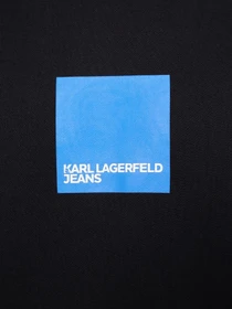 Худи и свитшоты Karl Lagerfeld Jeans модель A1M20002 Фото