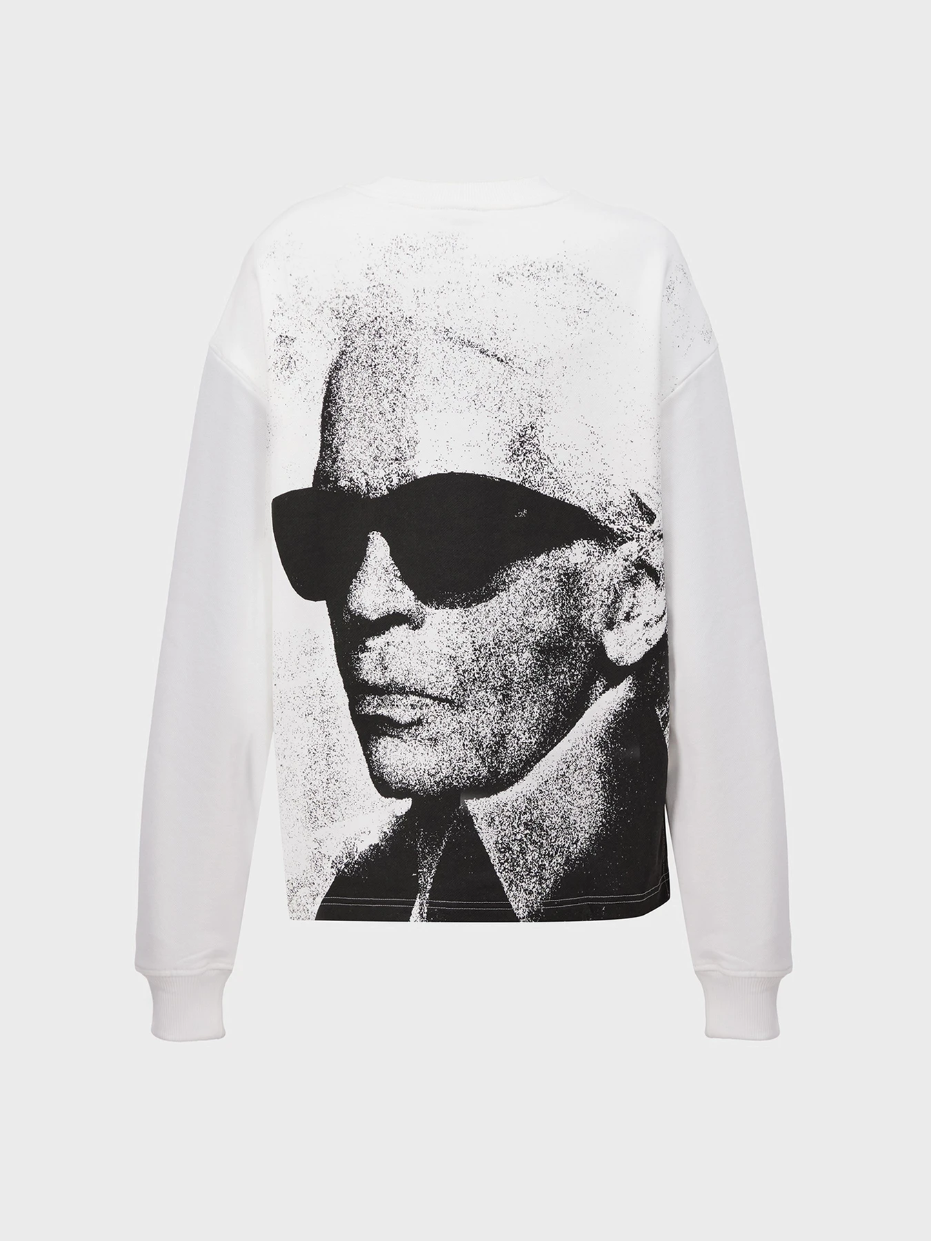 Худи и свитшоты Karl Lagerfeld Jeans модель A1W20068 Фото