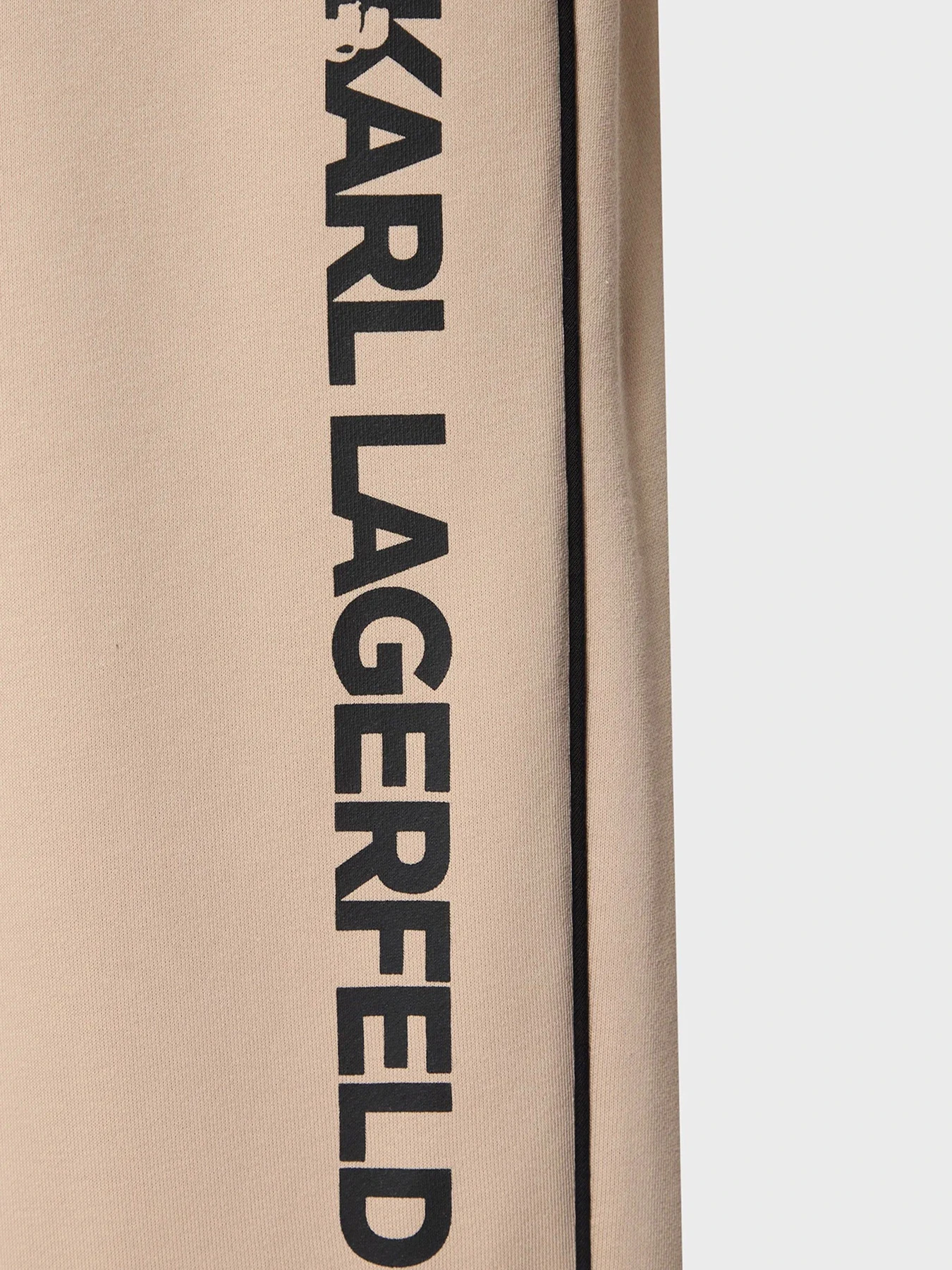 Брюки Karl Lagerfeld модель A2W10149 Фото