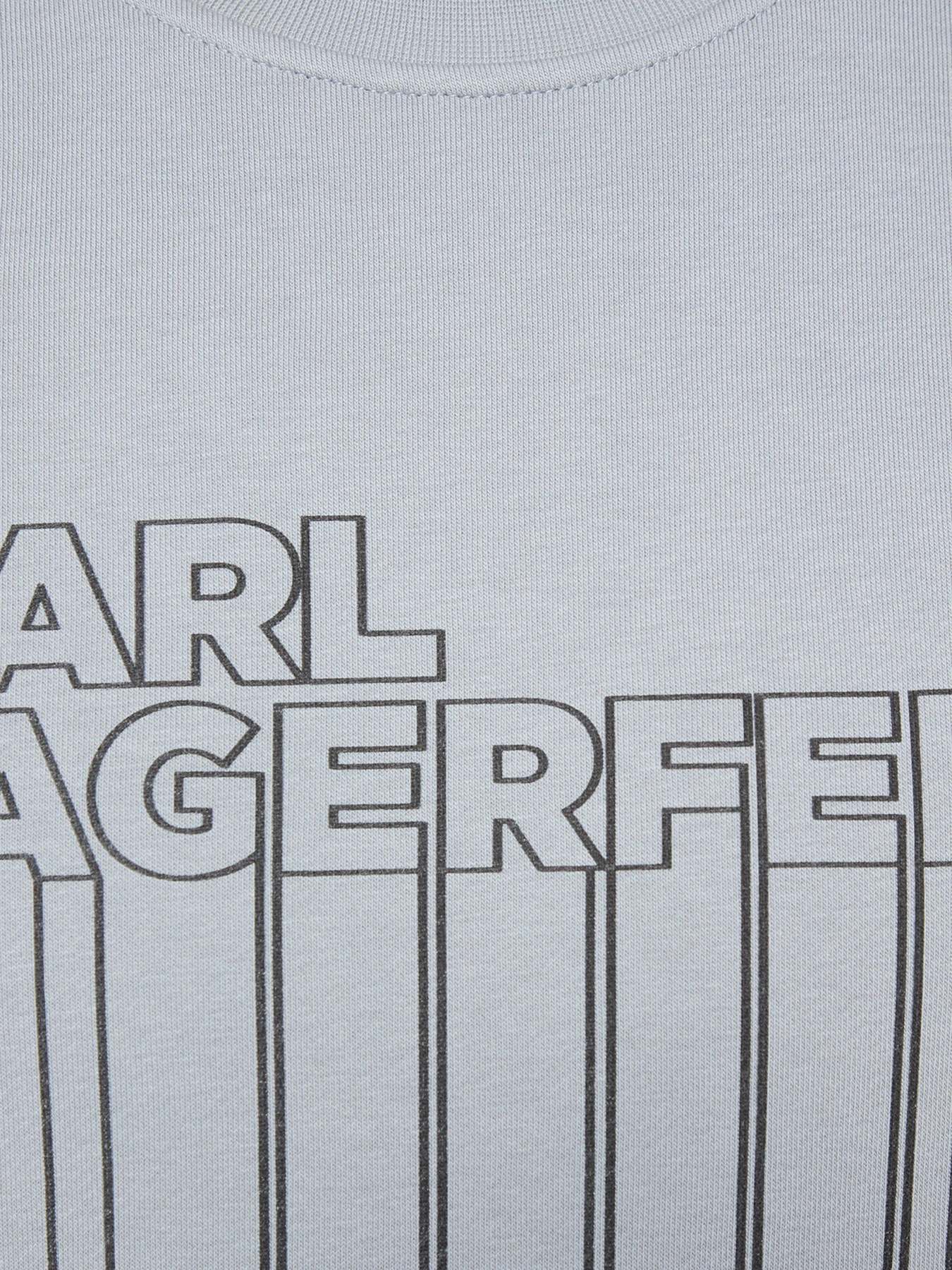 Худи и свитшоты Karl Lagerfeld Jeans модель A3M20018 Фото