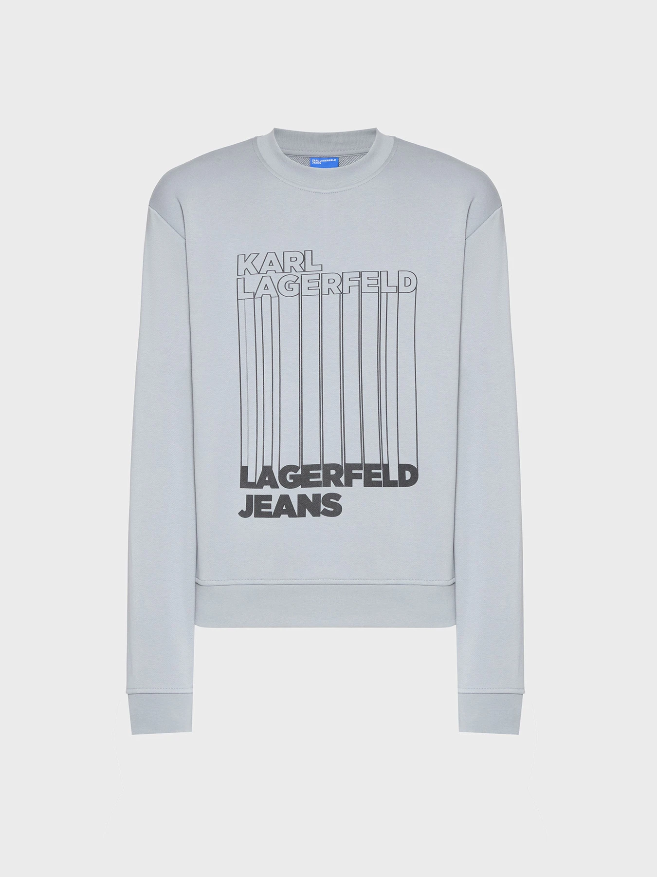 Худи и свитшоты Karl Lagerfeld Jeans модель A3M20018 Фото