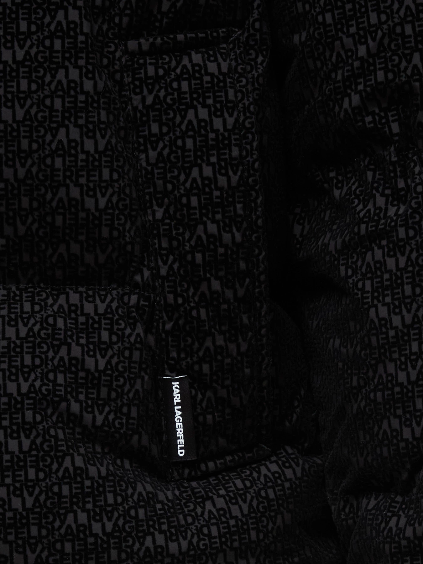 Куртки и дубленки Karl Lagerfeld модель A4W15042 Фото